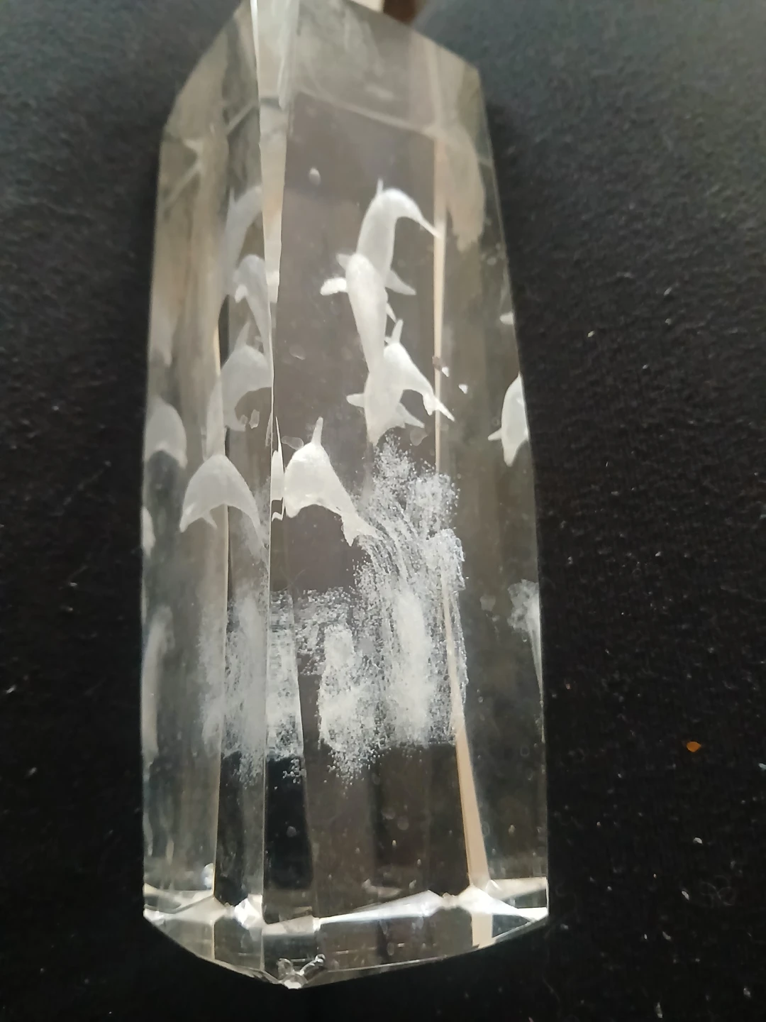 Crystal Dolphin Engraved Light-Up Display - photo 2