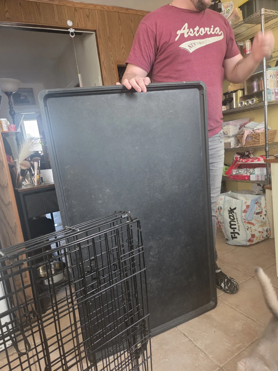 Pet Crate and Tray - photo 5