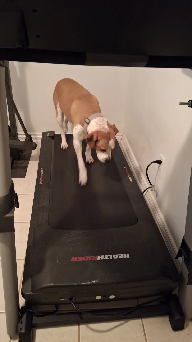 HealthRider ProShox 2 Treadmill