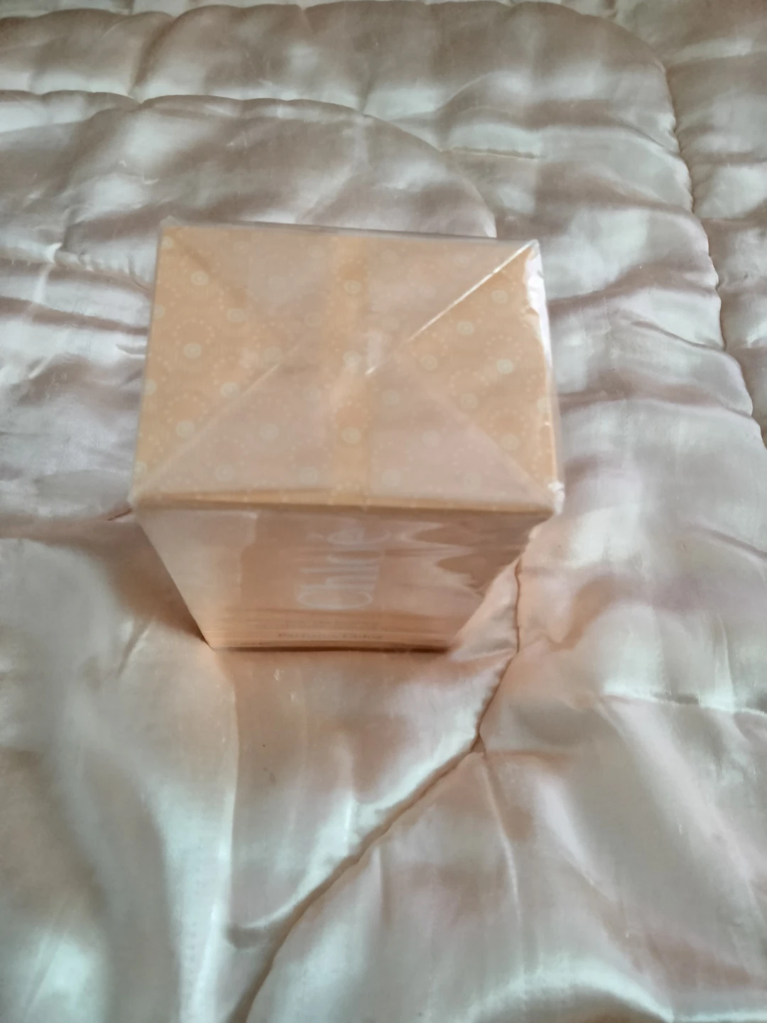 Chloé Eau de Toilette Natural Spray 3 FL OZ - photo 2