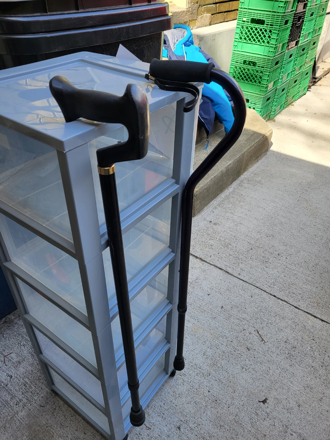 Black Walking Canes FREE WITH ANY OTHER PURCHASE FROM ME