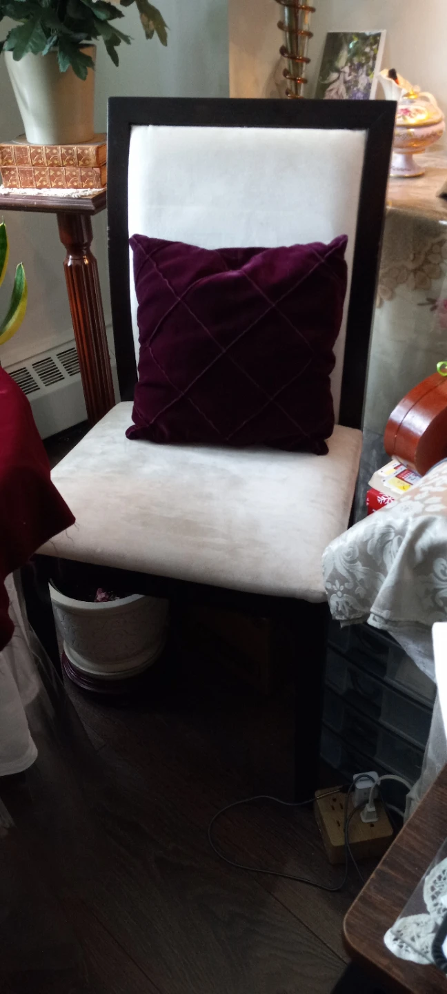 Padded Dining Chair