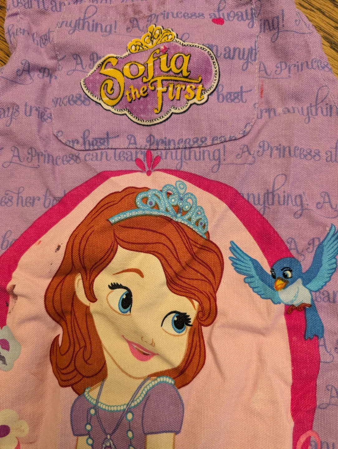 Sofia the First Kids Apron - photo 2