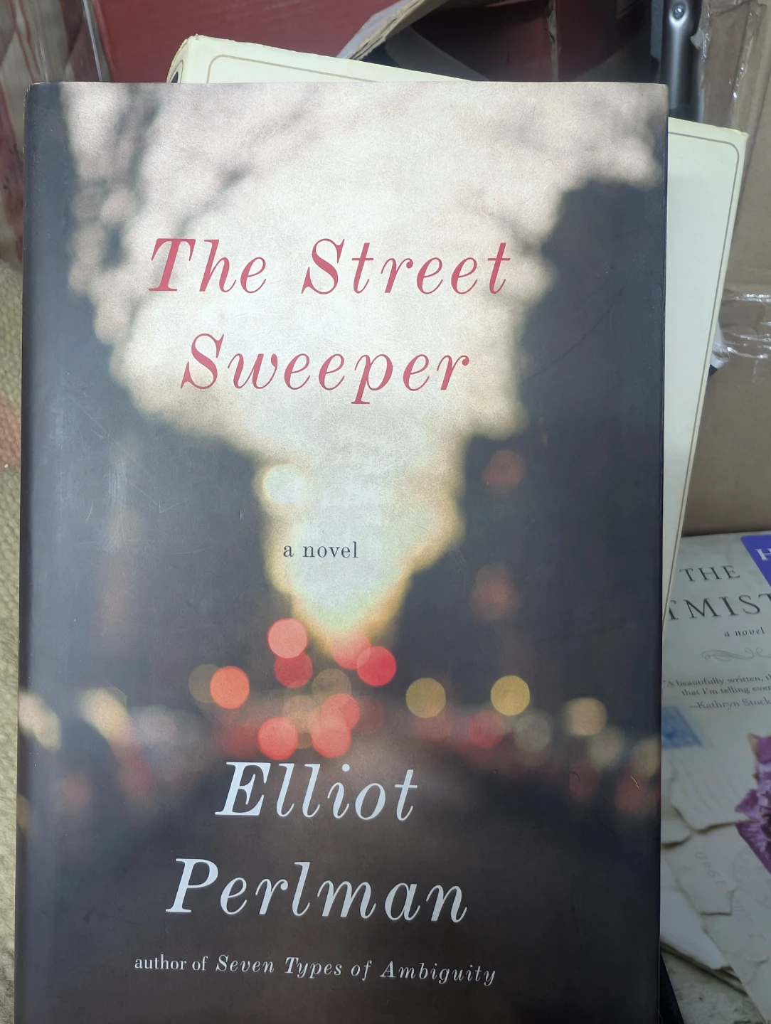 The Street Sweeper novel by Elliot Perlman