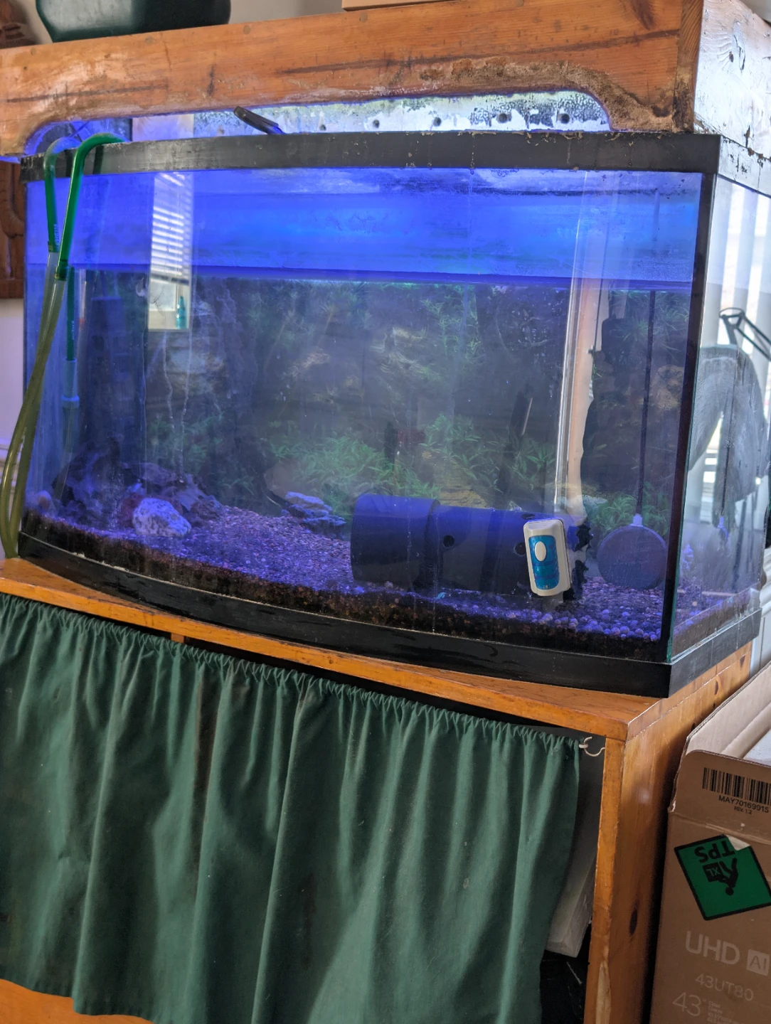 Curved Front Aquarium with Stand