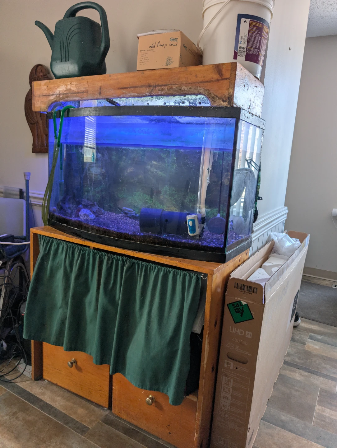 Curved Front Aquarium with Stand - photo 2