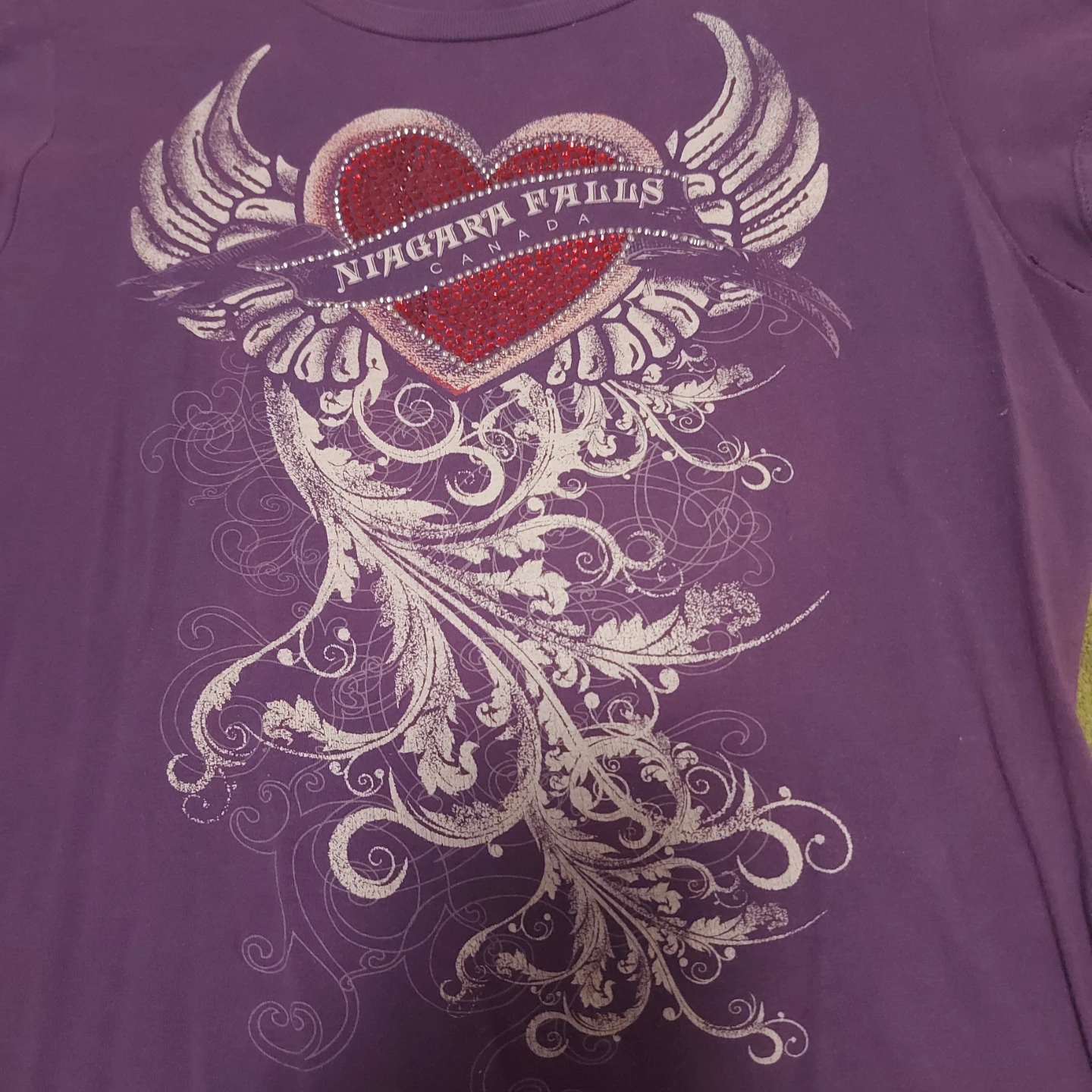 Purple T-Shirt with Niagara Falls Graphic