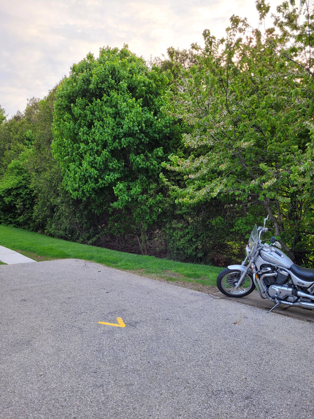Silver Suzuki Motorcycle 2003 VS800 GL Intruder