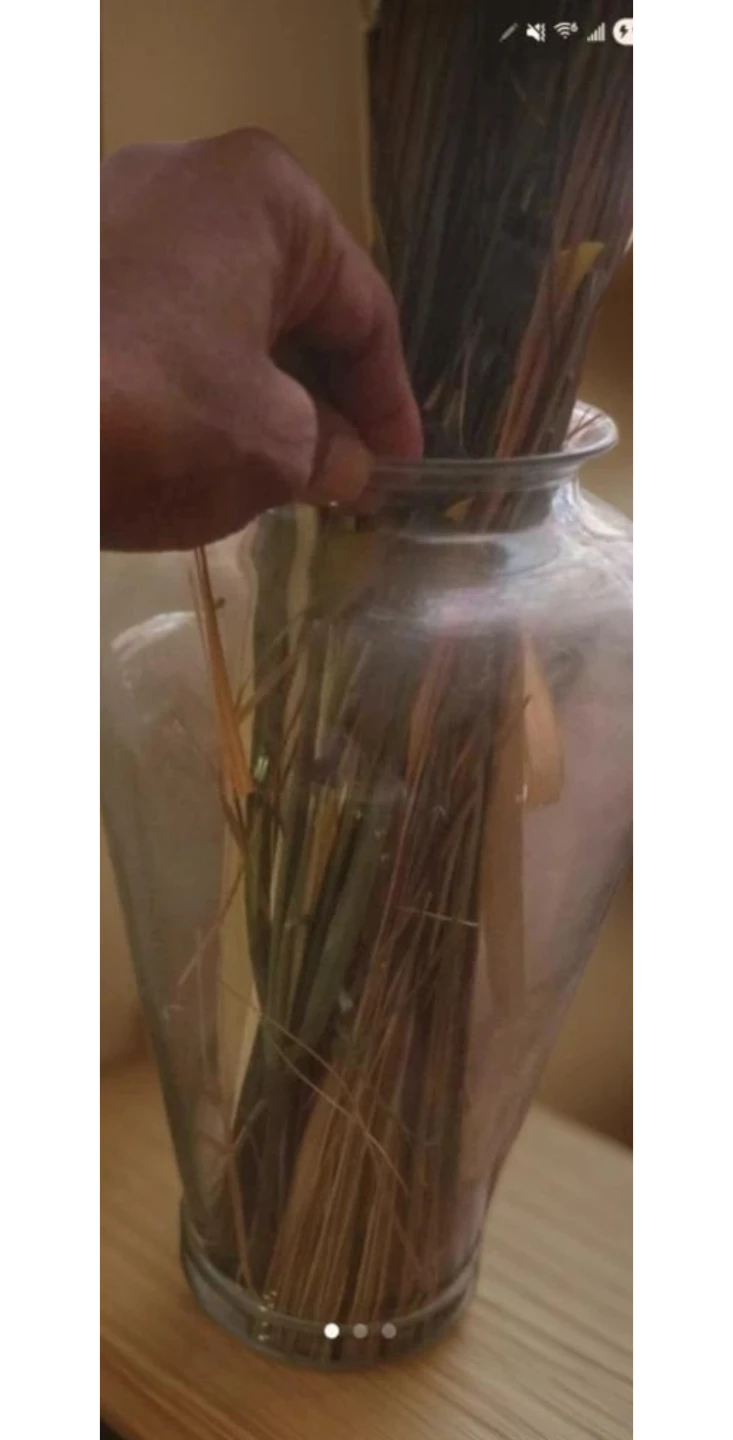 🥕Large Glass Vase with Dried Grass Arrangement - photo 3