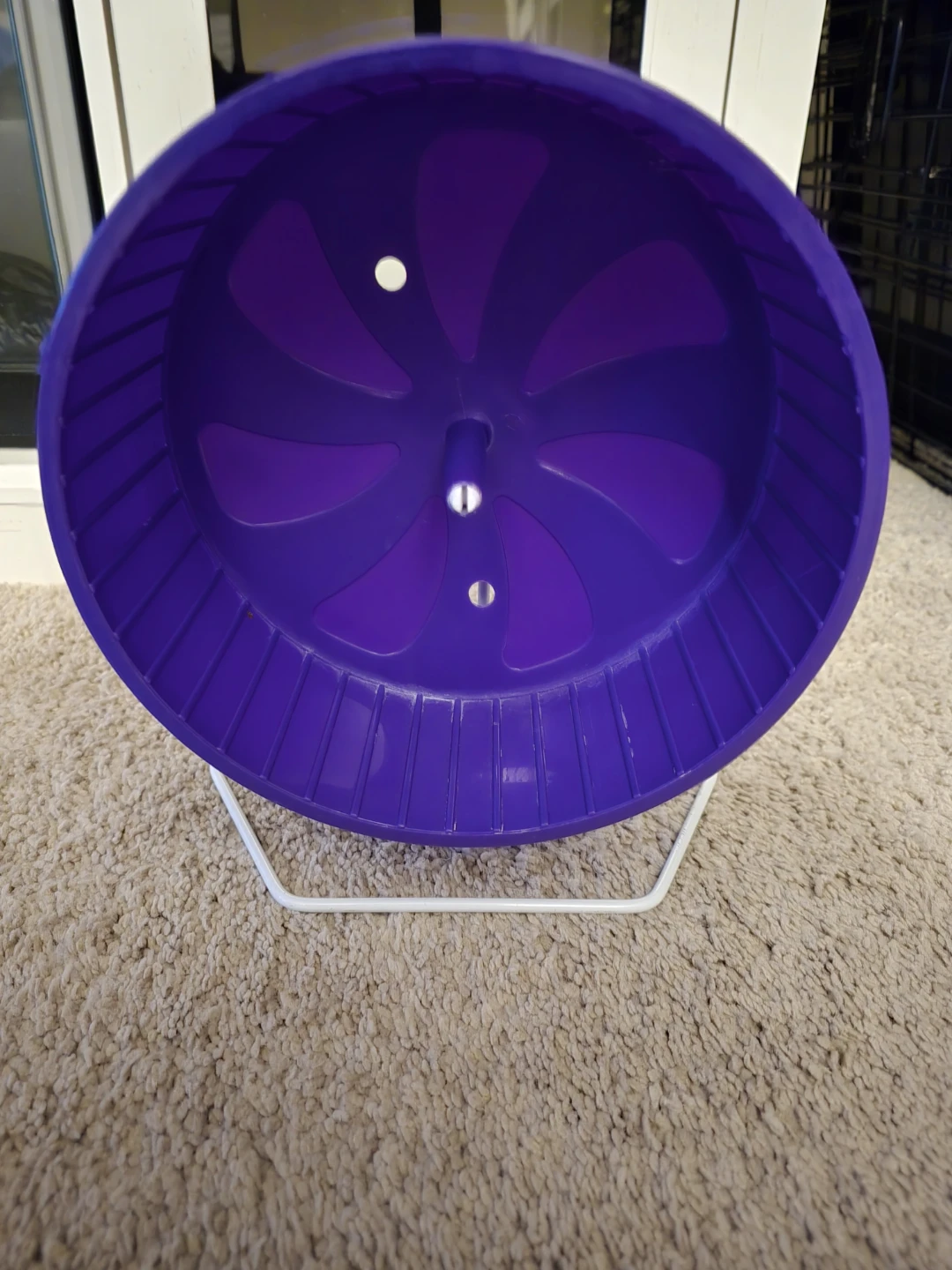 Kaytee Hamster Wheel