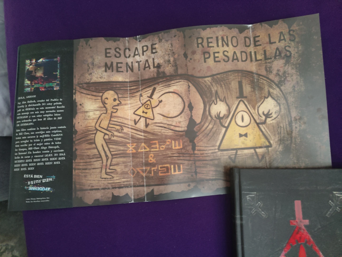 Gravity Falls book - photo 3