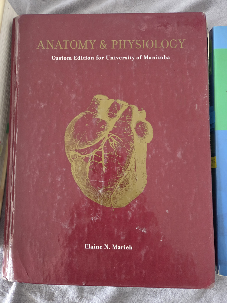Anatomy & Physiology Custom Edition Textbook