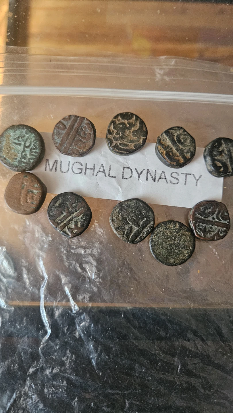 Mughal Dynasty Coins Collection