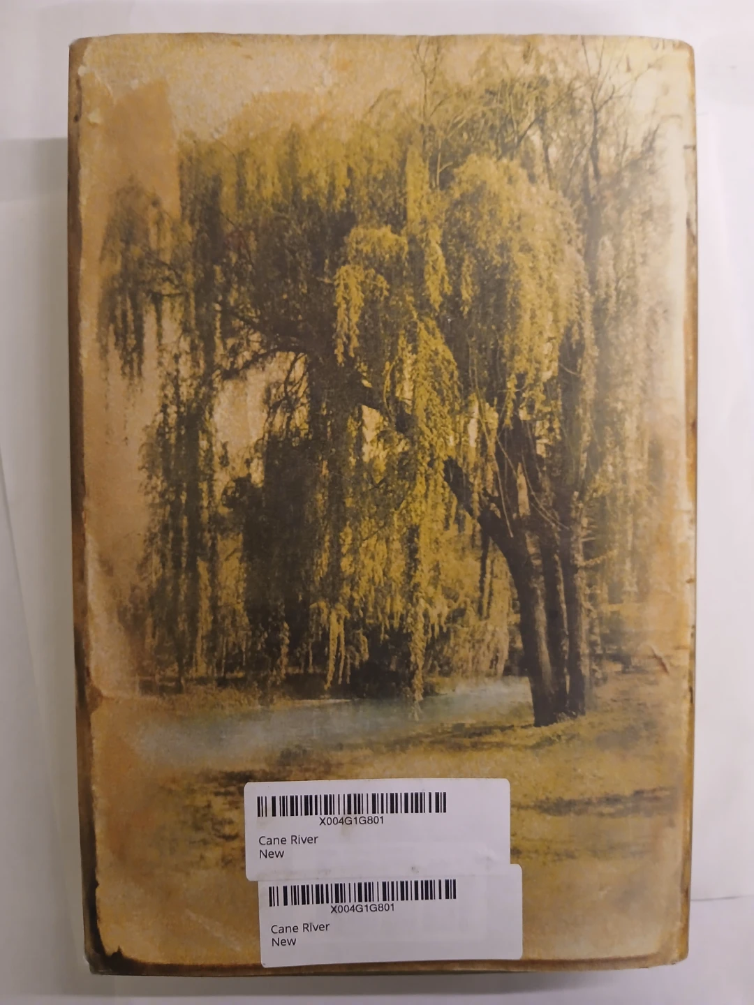 Cane River: A Novel by Lalita Tademy - photo 2