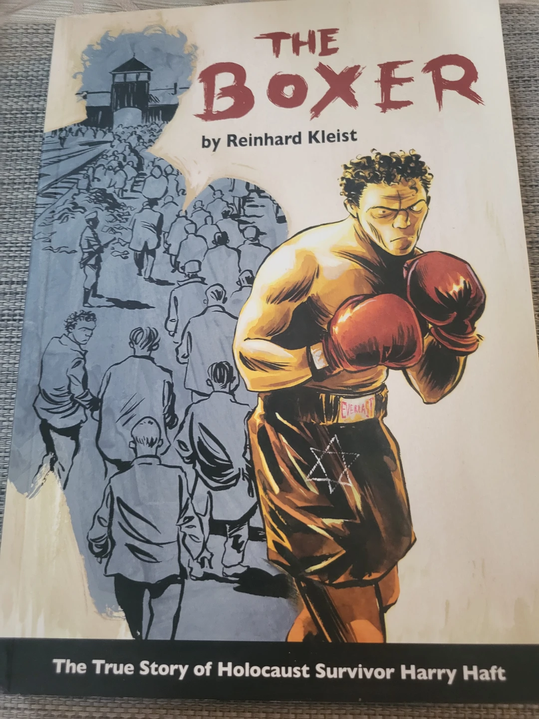 The Boxer Graphic Novel by Reinhard Kleist