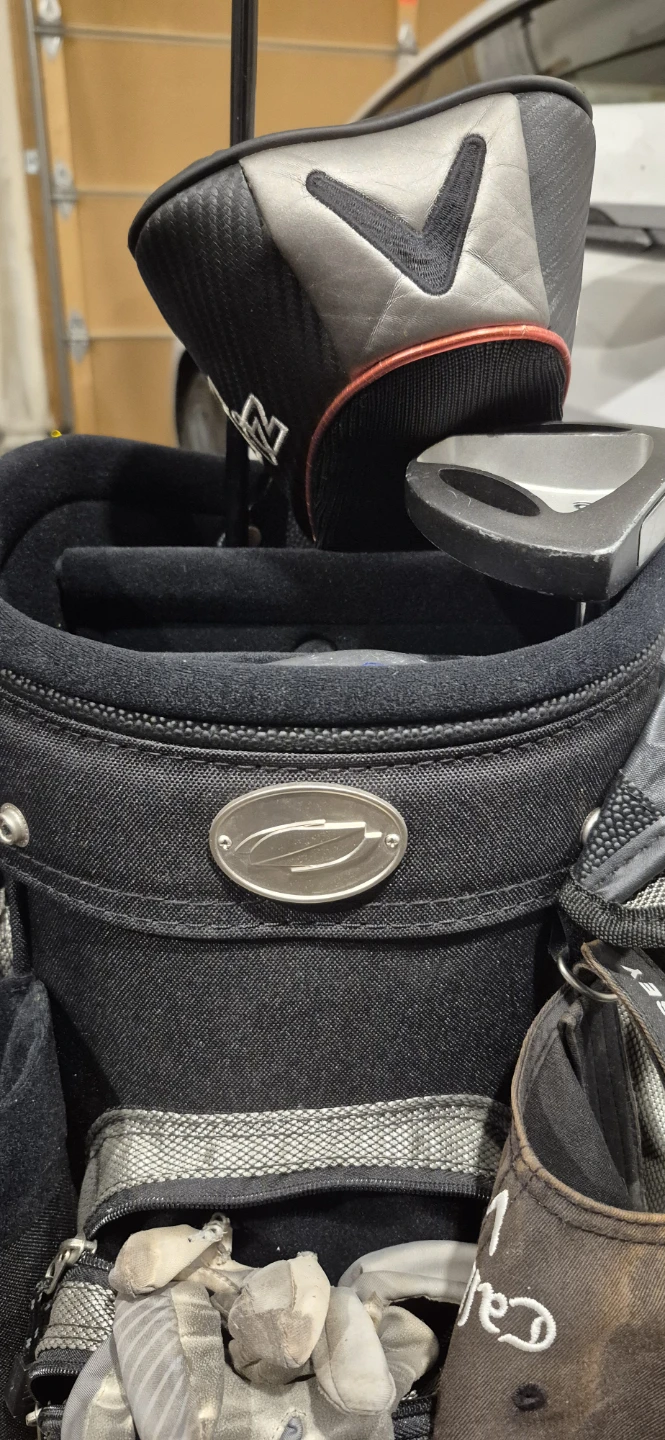 Black Golf Bag with Rain Cover & Putter - photo 4