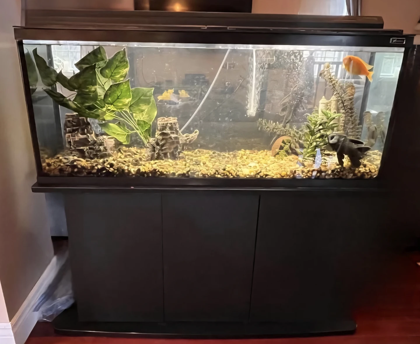 Aquarium Set with Stand