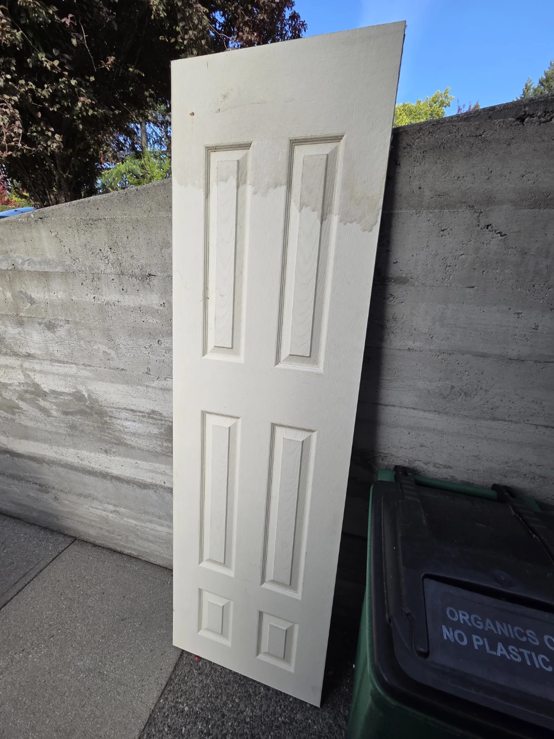 Interior Panel Door