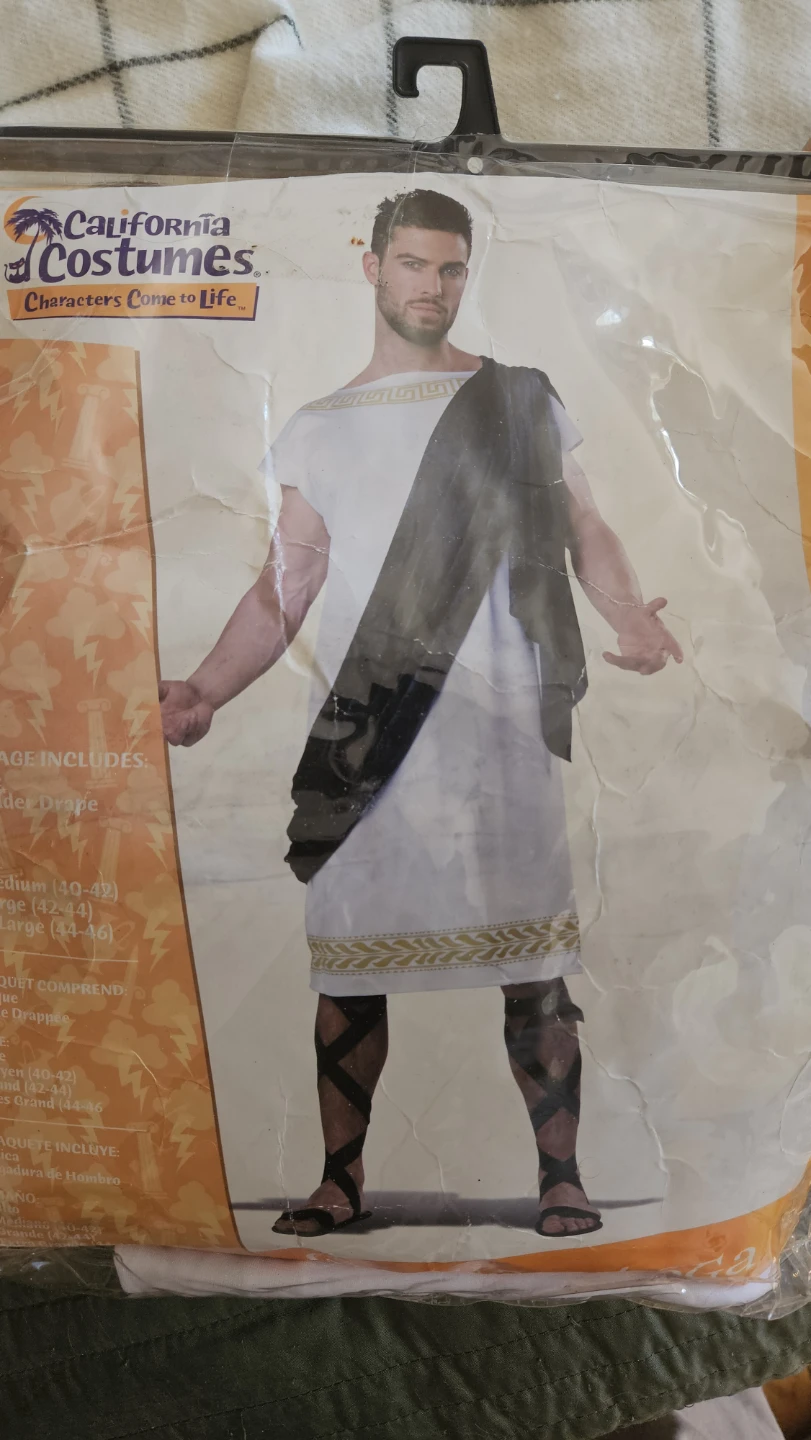 California Costumes Roman Toga Adult Costume