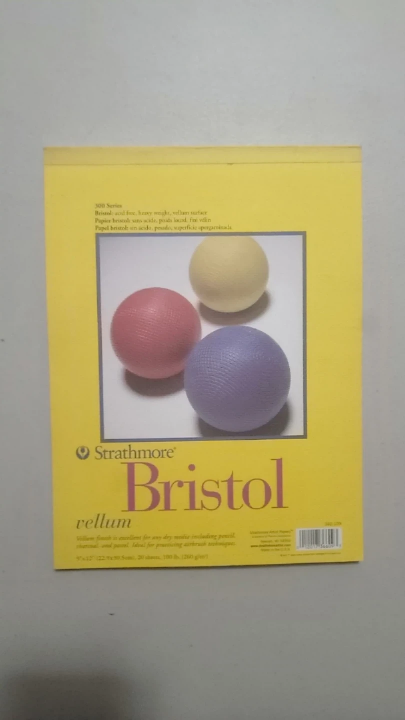 Strathmore 300 Series Bristol Vellum Paper, 9"x12"