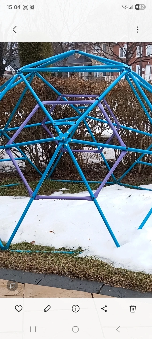 Dome Climber (Blue & Purple) - photo 4