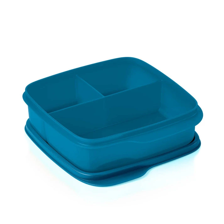 Tupperware Lunch-It Container 🧡