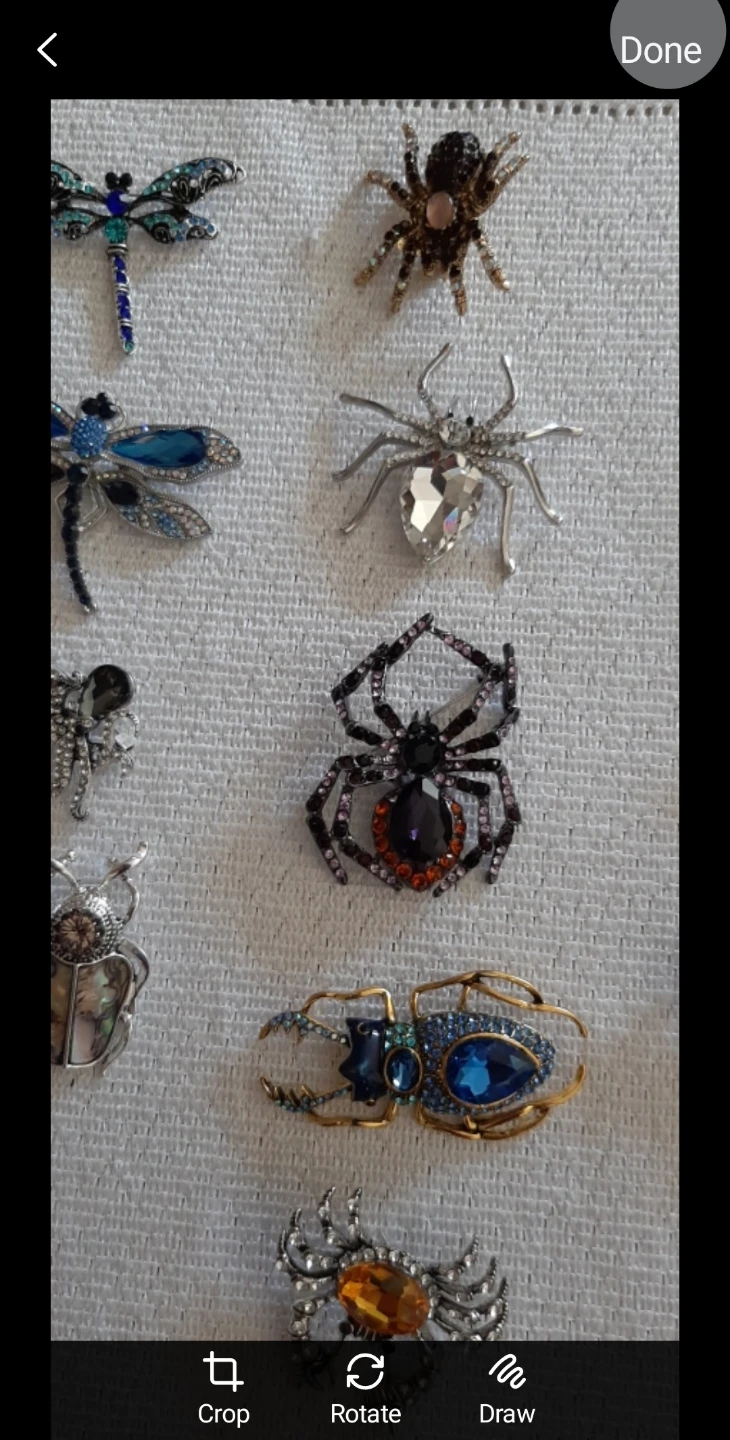 Decorative spider brooches  $10 each