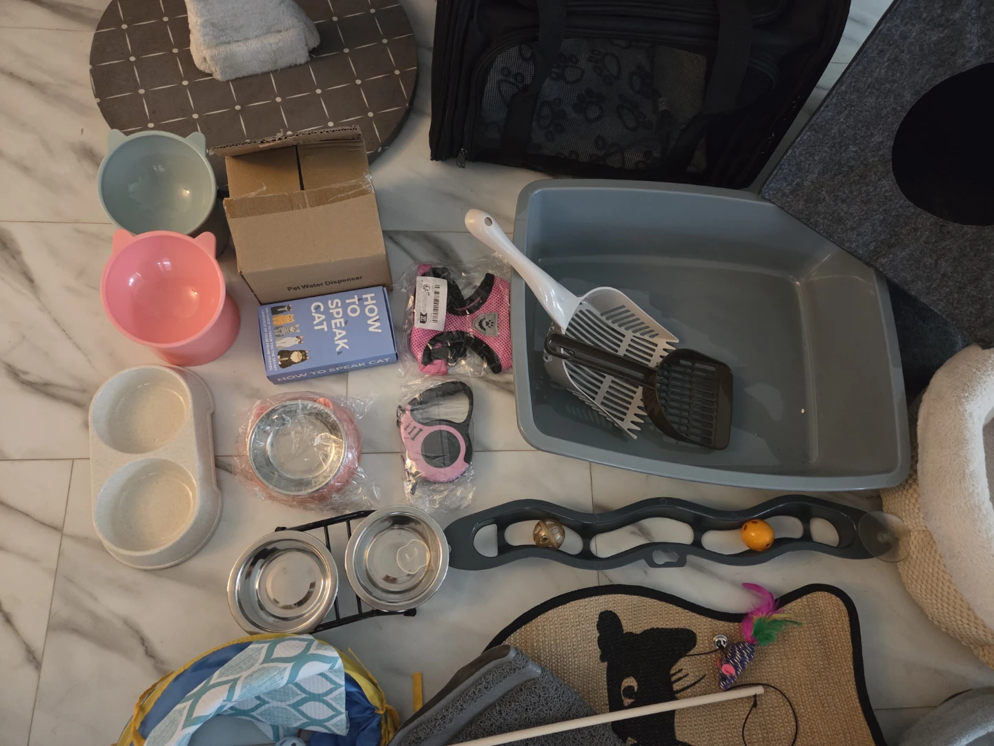 Cat and kitten supplies