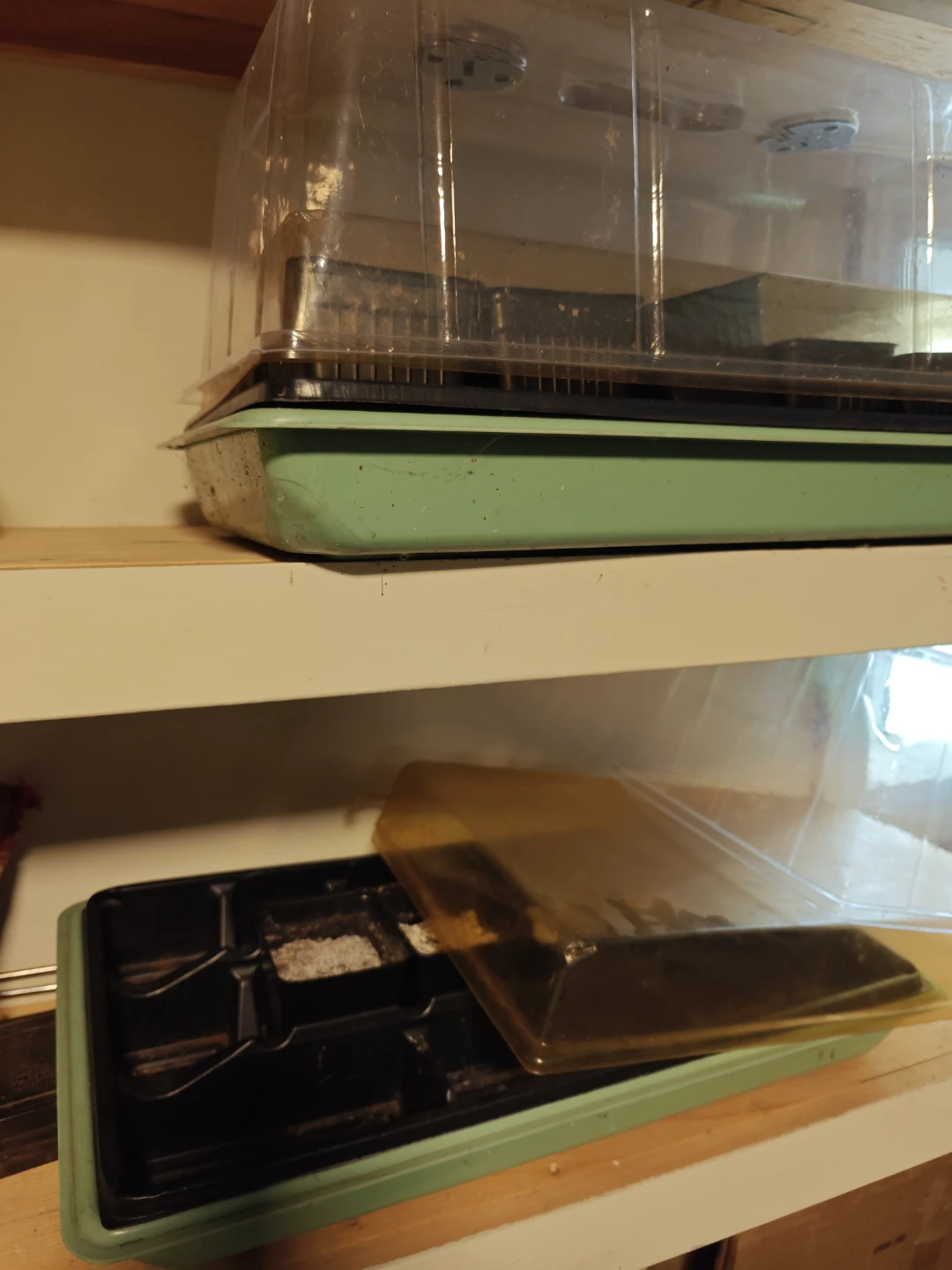 Seedling Starting Setup - photo 2