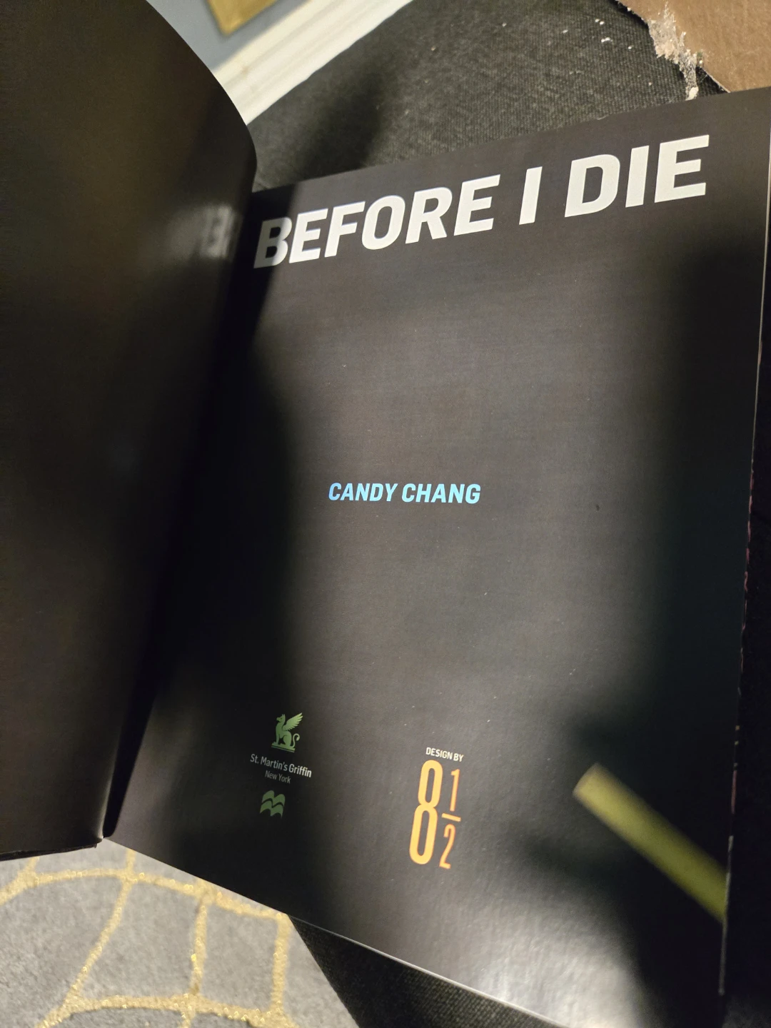 Before I Die Journal by Candy Chang - photo 3