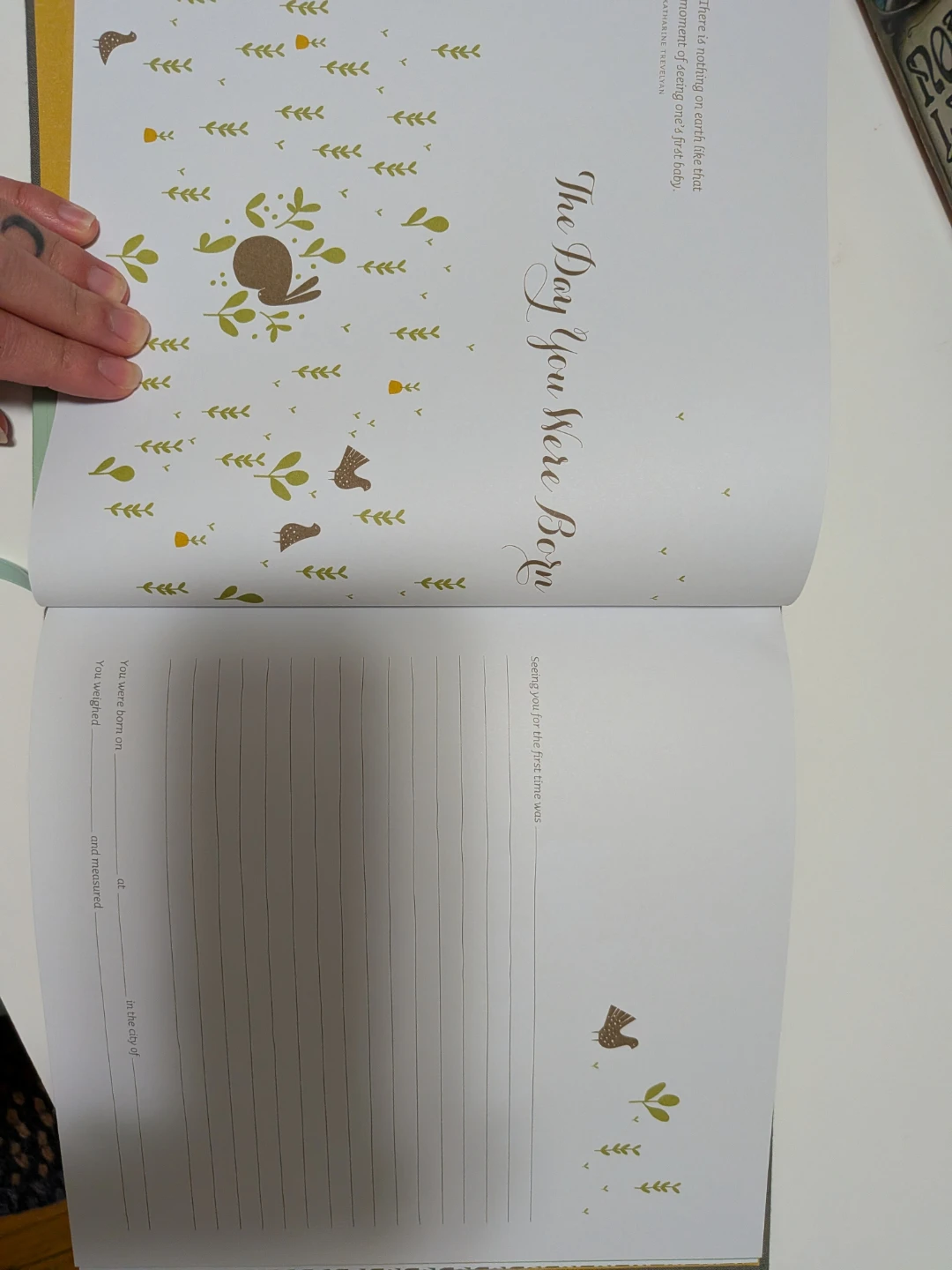 Welcome Baby! Keepsake Journal - photo 3