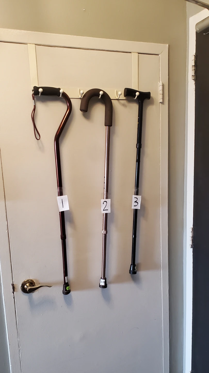 Walking Sticks & 2 White Cane - photo 3
