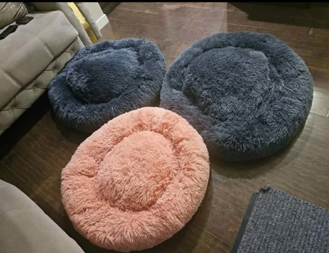 Dog bed (new never used) each $35