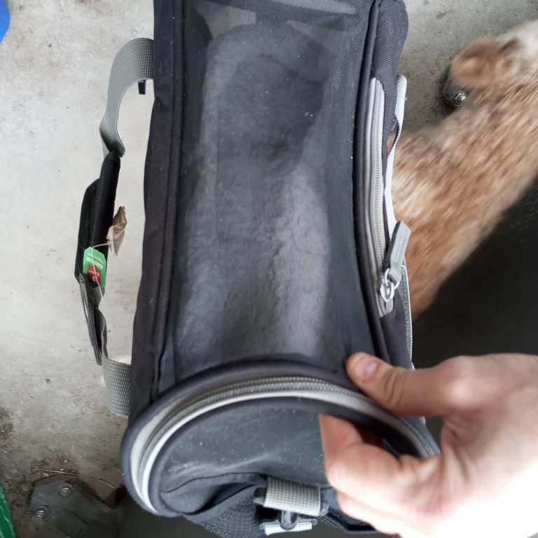 Bergan Pet Carrier Bag - photo 4