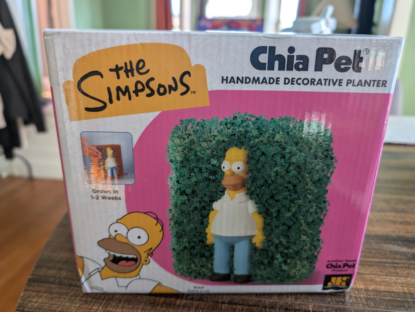 Chia Pet The Simpsons Homer Simpson Handmade Decorative Planter