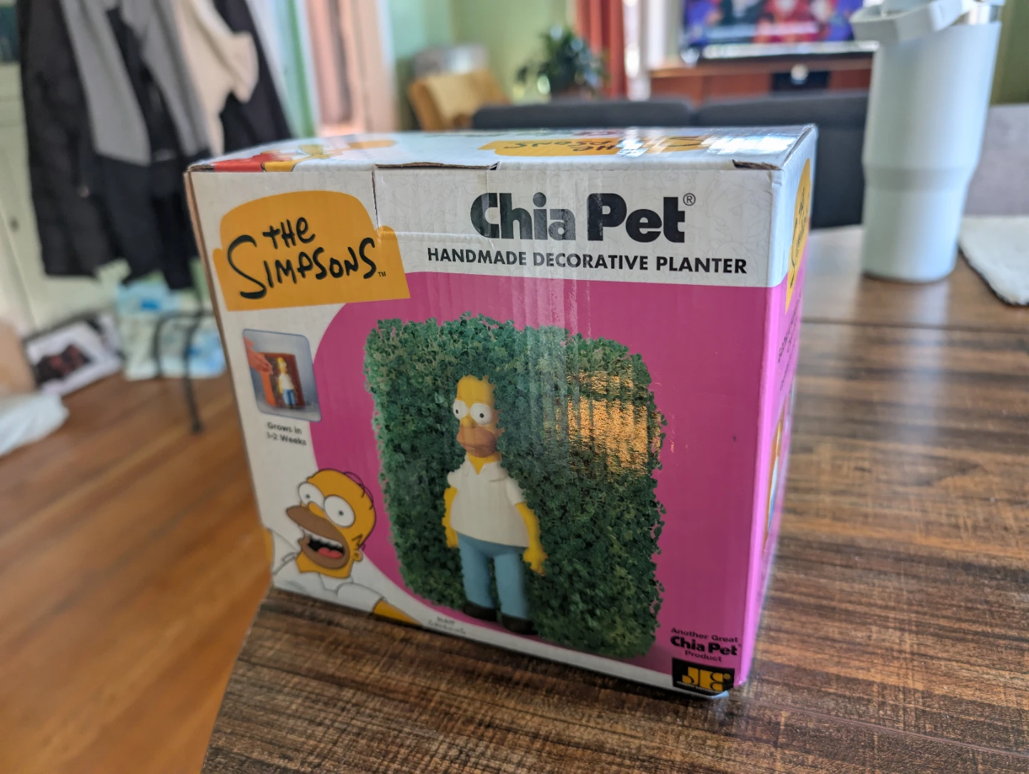 Chia Pet The Simpsons Homer Simpson Handmade Decorative Planter - photo 3