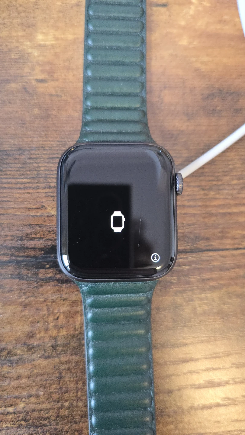 Apple Watch Series 6 with Green Leather Band - photo 2
