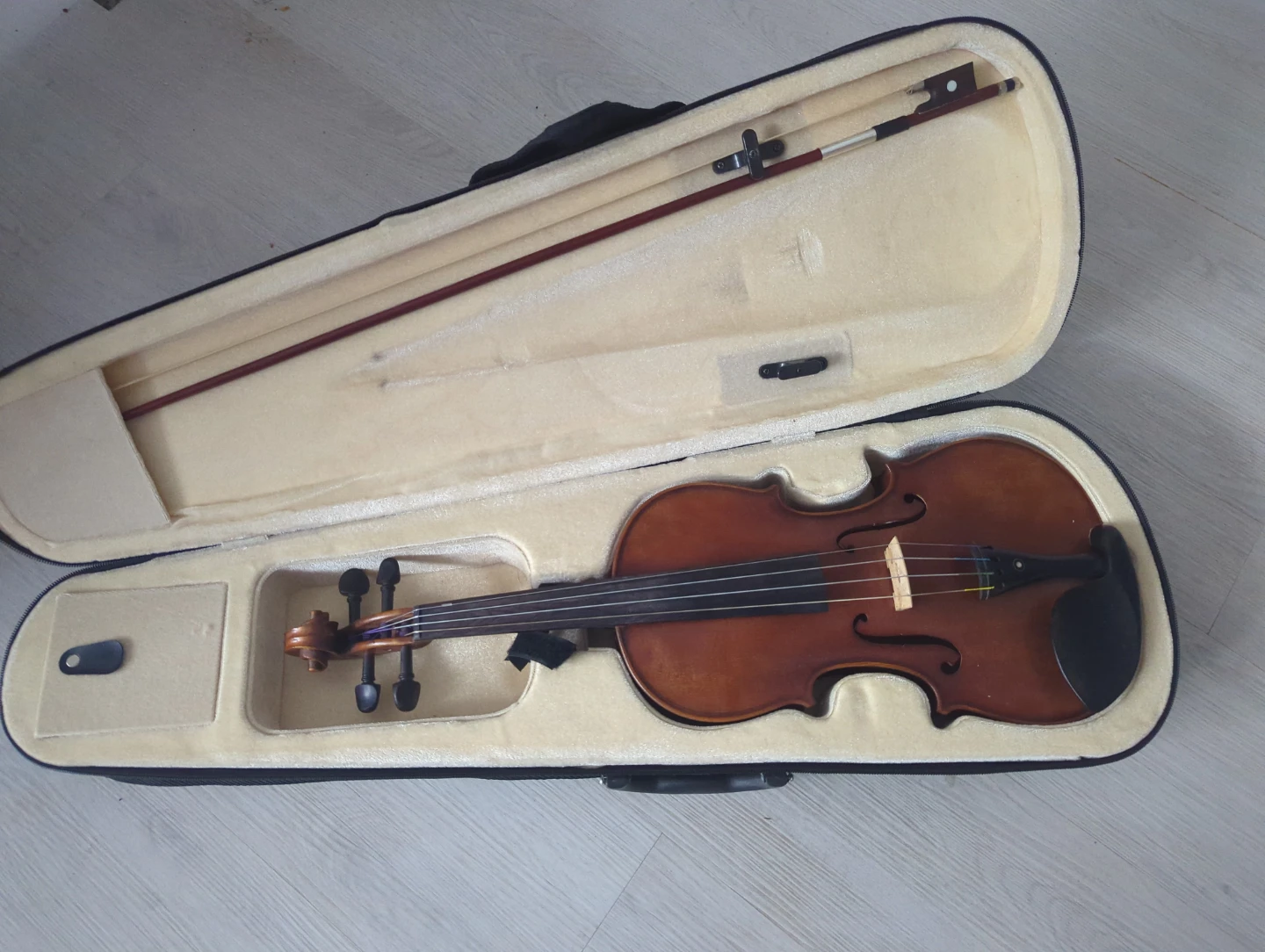 Violin with Case and Bow