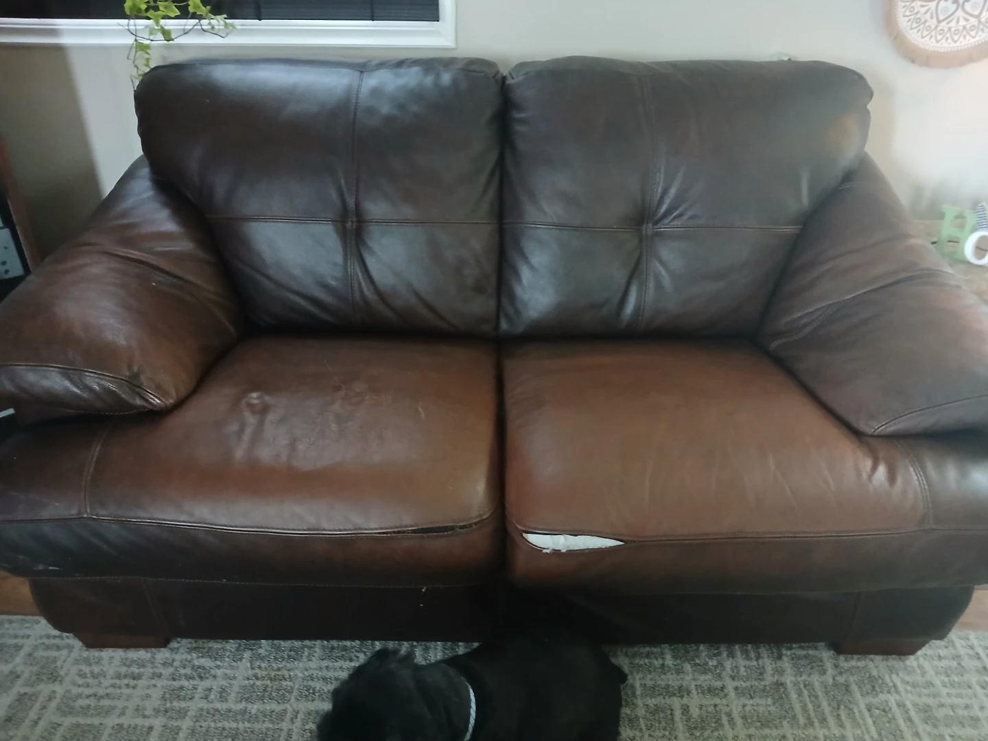 Brown Leather Sofa - 3 Seater and love seat
