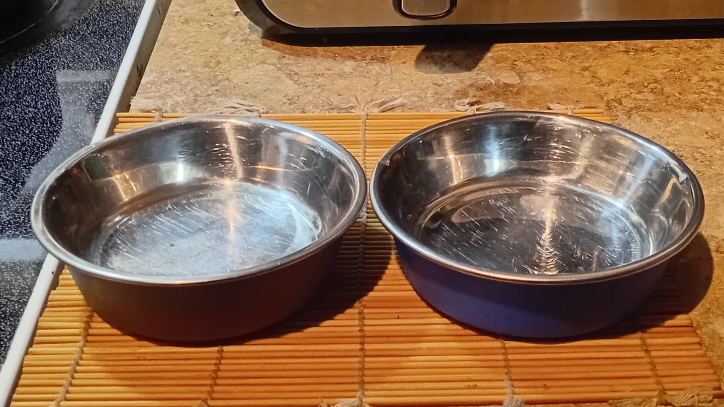 Set of 2 Stainless Steel Pet Bowls