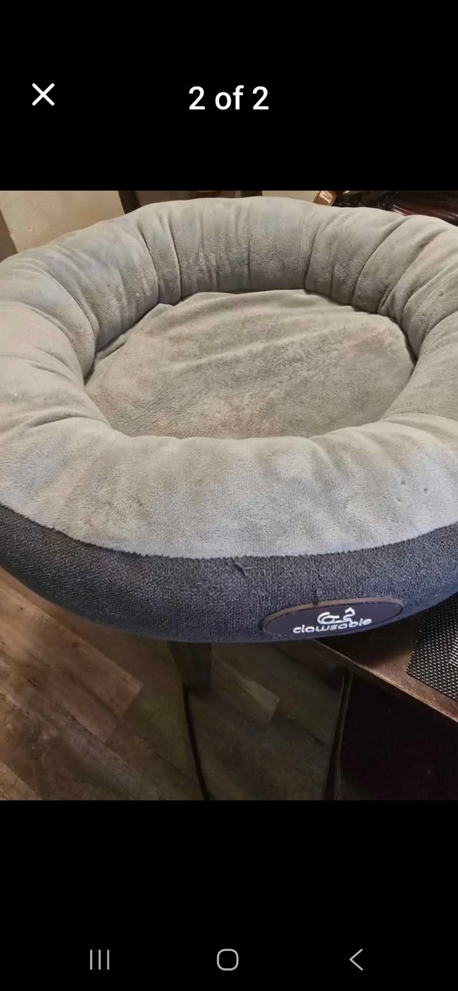 Cat heater bed