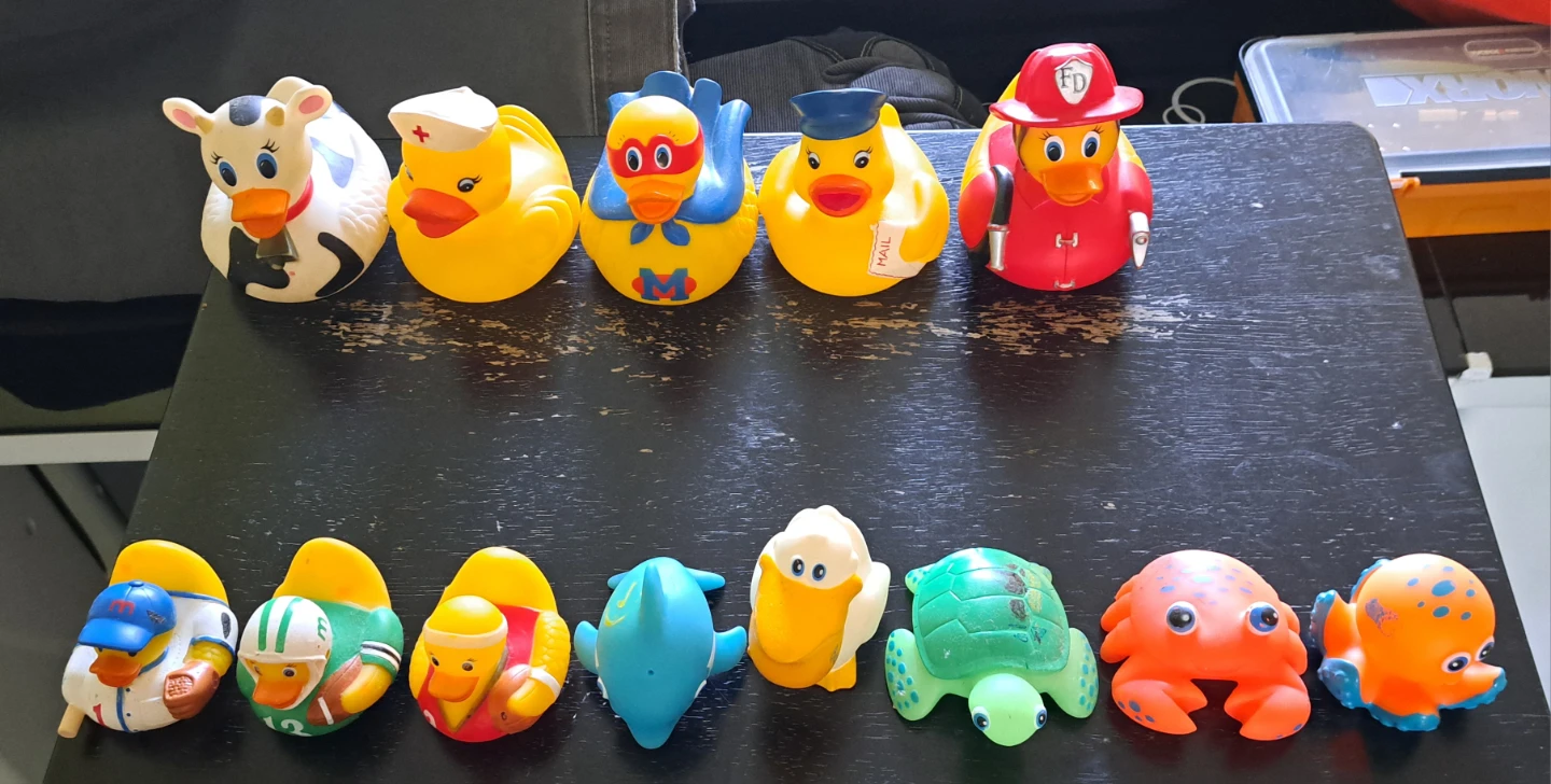 Set of 14 Rubber Ducks and Bath Toys