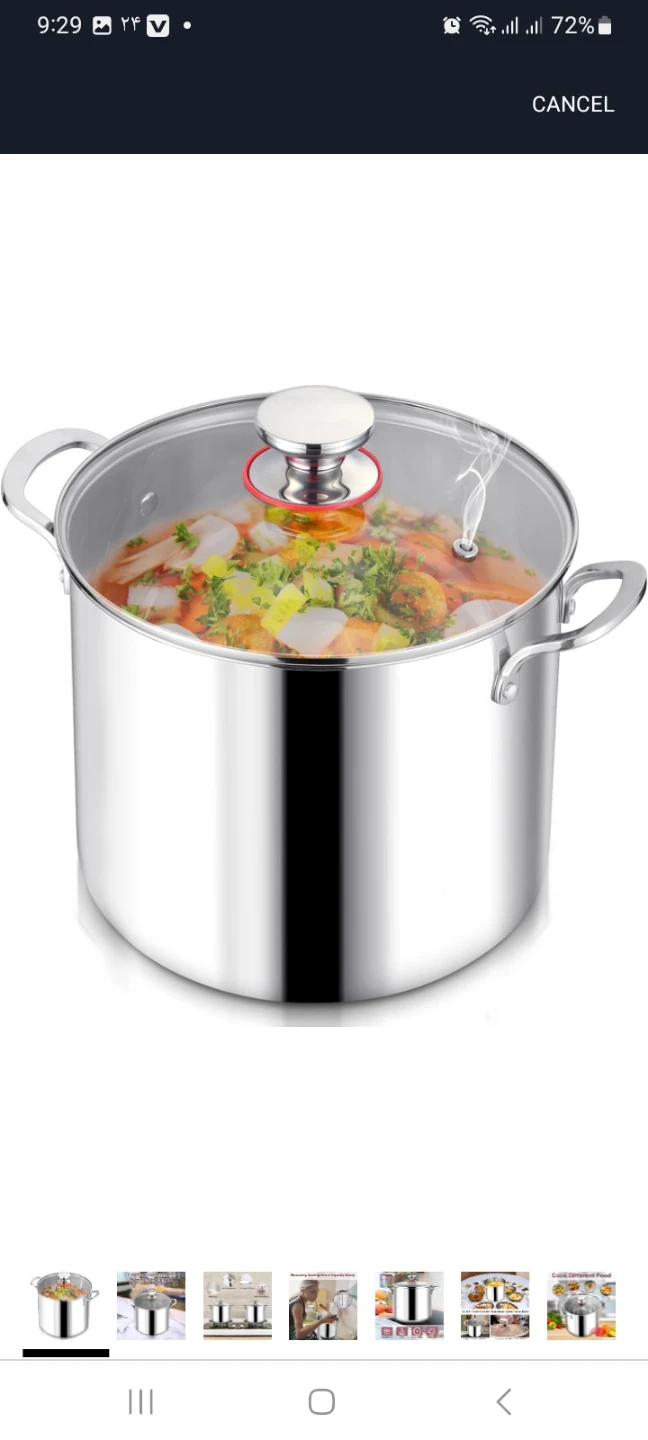 Stainless Steel Stockpot with Glass Lid