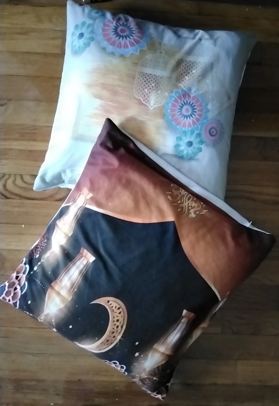 Decorative Throw Pillows Set (2) 🥕