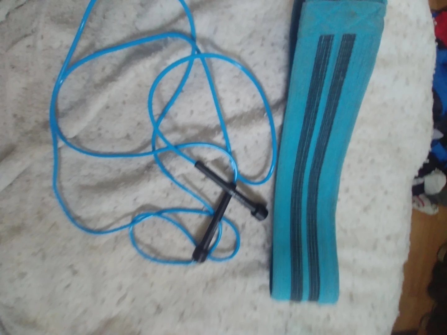 Exercise equipment home workouts - photo 2