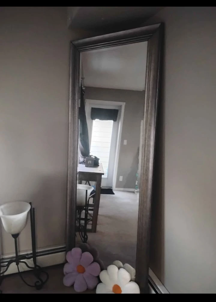 Full Length Mirror - photo 3