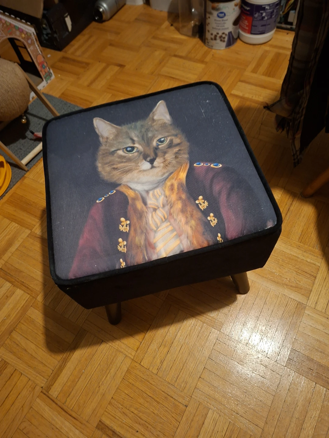 Ottoman with Regal Cat Portrait