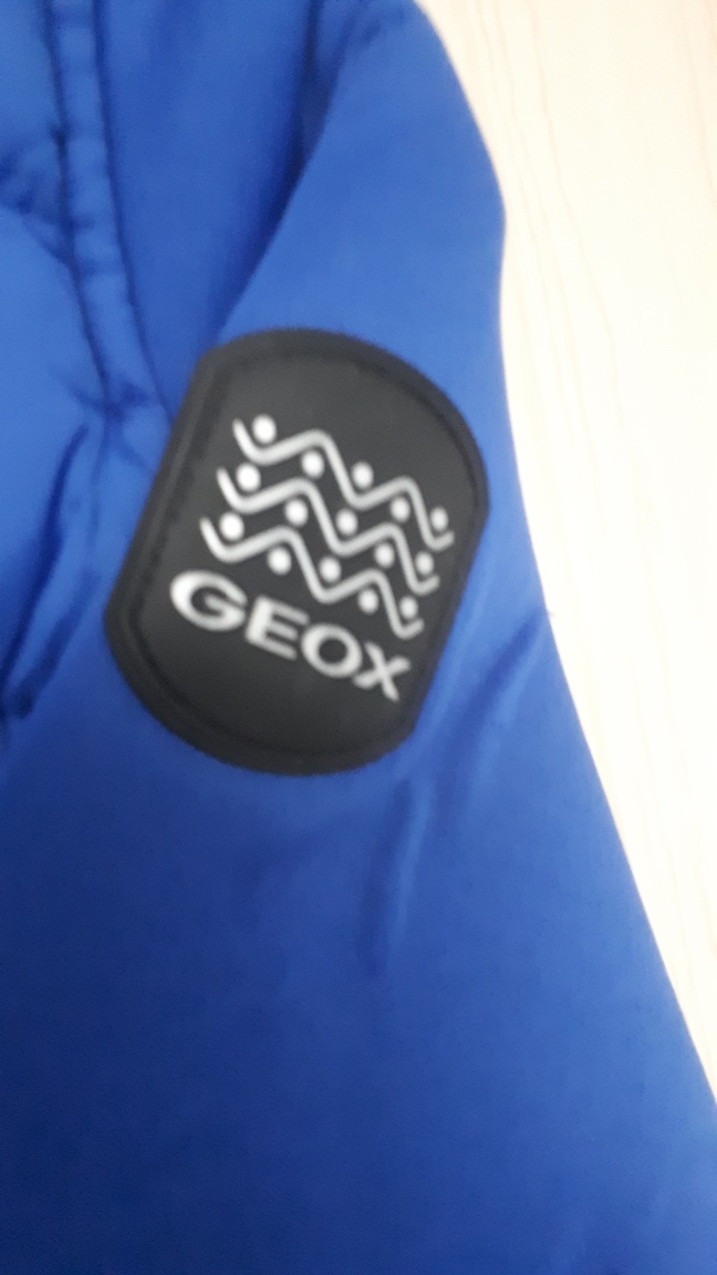 Jack Wolfskin Children's Blue Hooded Jacket - photo 2