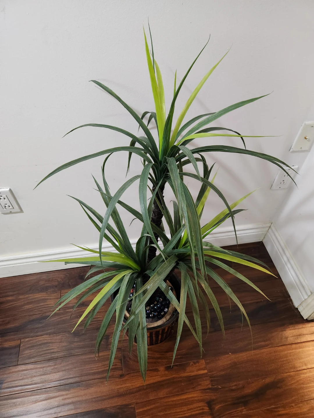 Artificial Dracaena Plant in Decorative Pot - photo 2