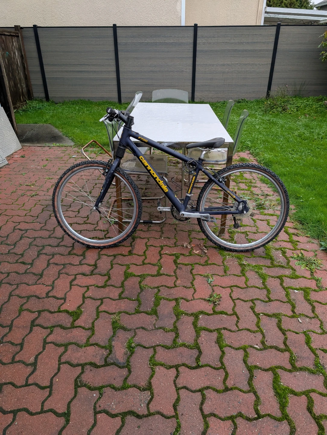 Cannondale F700 Mountain Bike